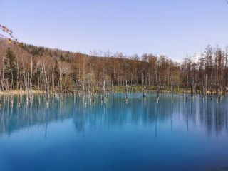 Cover Image for 昨今の円安について思うこと